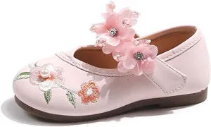 Girl Mary Jane Dance Shoes Ballet Sports Shoes Traditional Chinese Flower Embroidered Shoes Princess Skirt Flat Shoes