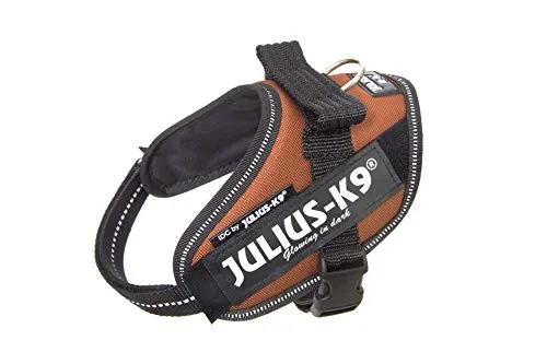IDC Powerharness