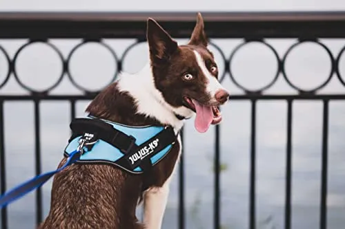 IDC Powerharness