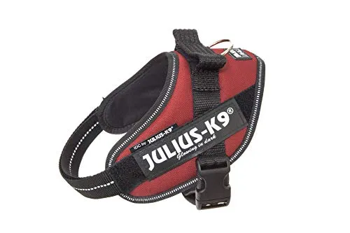 IDC Powerharness