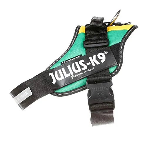 IDC Powerharness