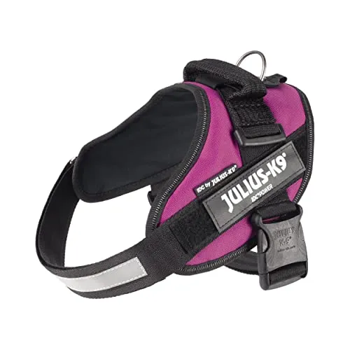 IDC Powerharness